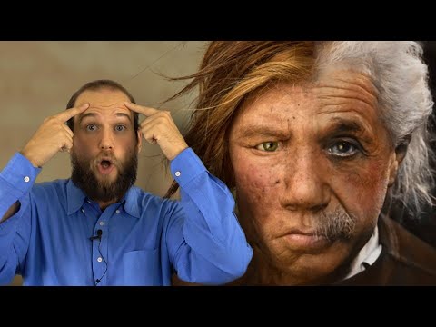 Una nuova scoperta sul Cervello dei Neanderthal