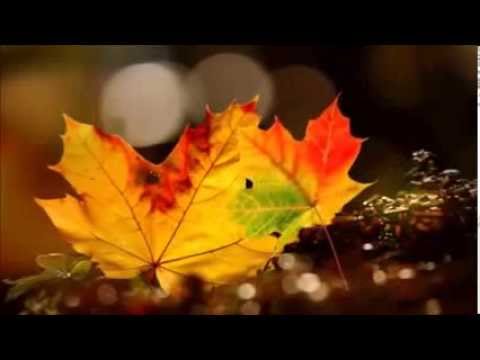 Осенние деньки (Е. Дога) - Наташа Паюнен