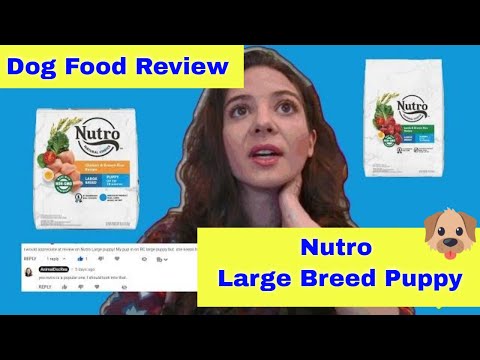 Nutro large breed puppy food review