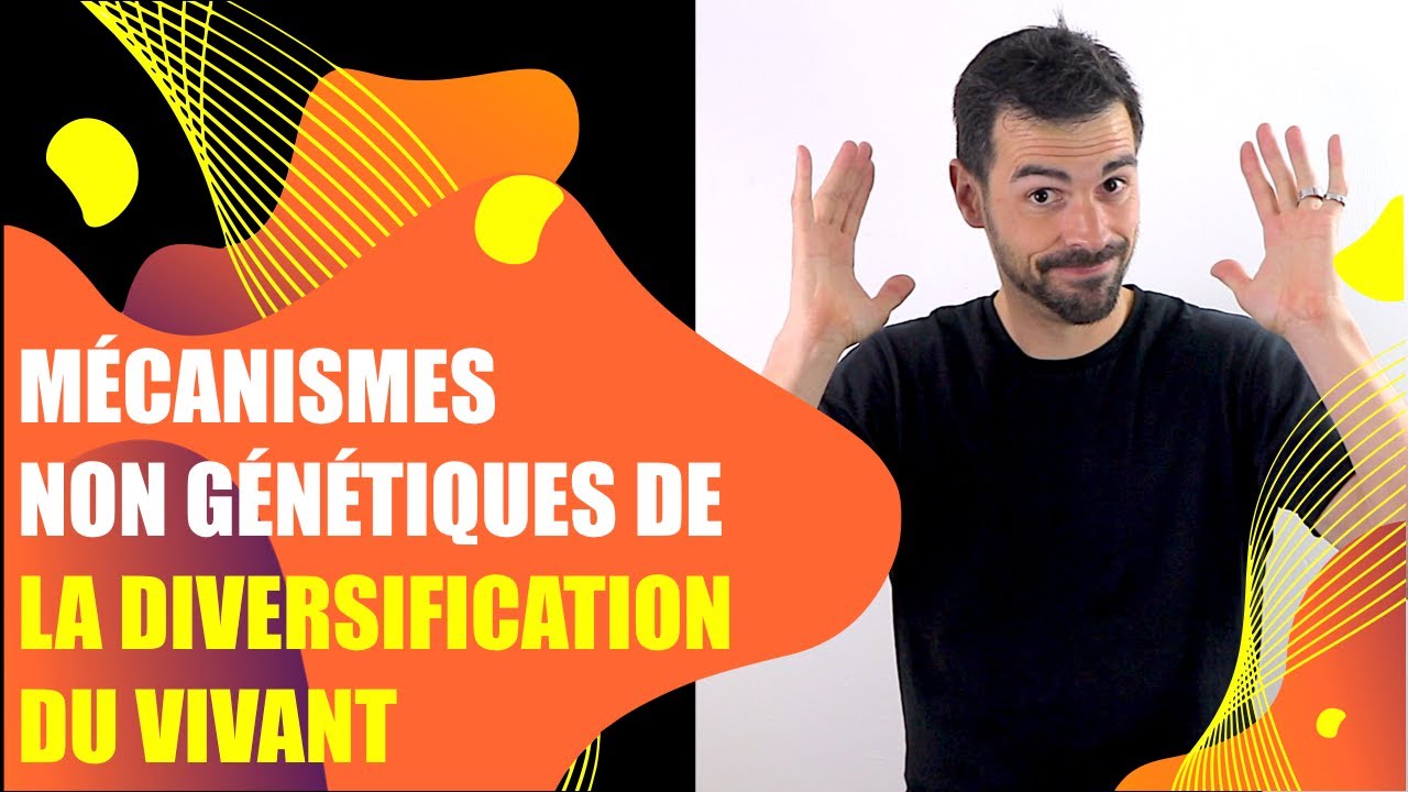 COURS DE TERMINALE SPÉCIALITÉ SVT CHAP.5: LES MÉCANISMES NON GÉNÉTIQUES DE DIVERSIFICATION DU VIVANT