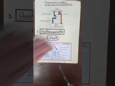 Gr.9 Die Sirkulasiestelsel (2)