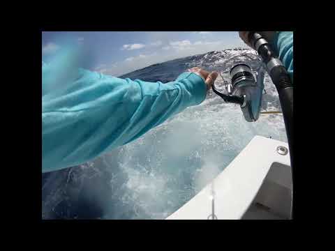 Islamorada, FL Fishing for -MAHI & SHARKS-