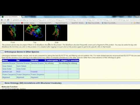 Using UCSC Genome Browser