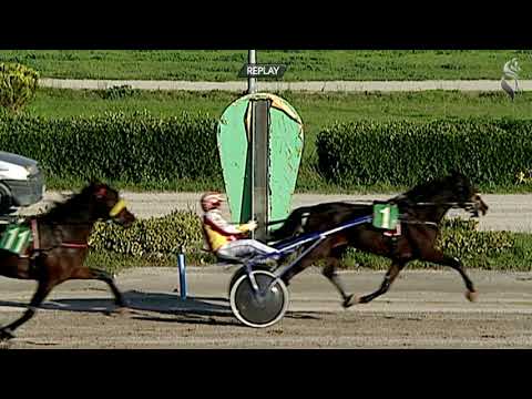 Aversa trotto 28 Ottobre 2020 - 1° Corsa