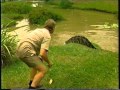 Steve Irwin Feeding His Crocs