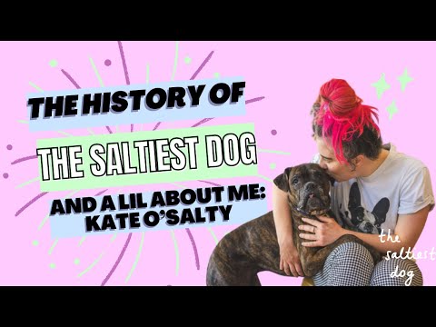Saltiest Dog