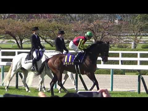 20210411桜花賞本場馬入場(現地映像)　BGM：ザ・チャンピオン