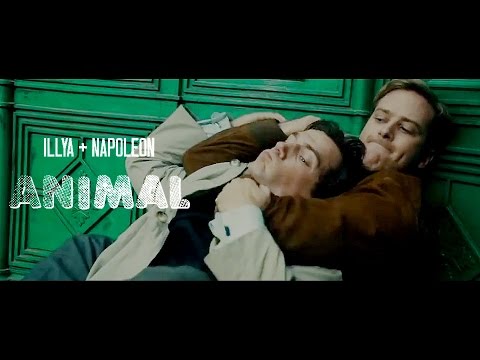 Illya & Napoleon || Animal