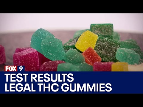 Testing legal THC gummies in Minnesota