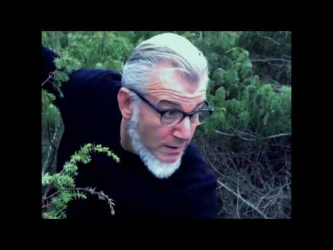 video frame placeholder