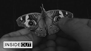 Musik-Video-Miniaturansicht zu Dead Butterfly Songtext von Pure Reason Revolution
