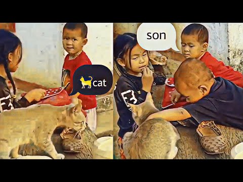 Cat🐈 र बच्चाहरू👨‍👦sangai खेल्दै 🤸‍♂️ pabitra thapa son rijul thapa vlog