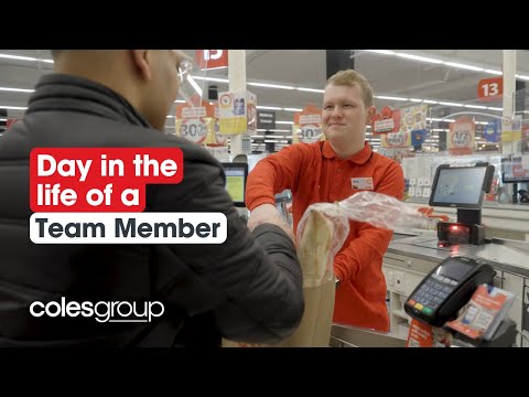 A Day in the Life of a Team Member