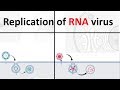 replication of RNA virus