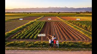CHACRAS DE 5 HECTÁREAS A 5,000 DÓLARES (ES REAL)