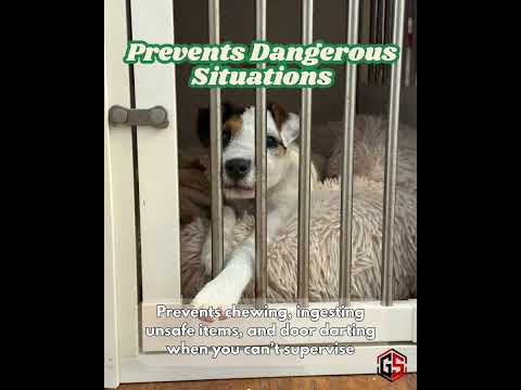 Benefits of Crate Training & Why Every Dog Should Be Crate Trained