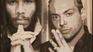 Ziggy Marly ft  Sean Paul   Three Little Birds With Lyrics   YouTube