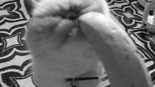 As a colleague noted, "It builds really well."