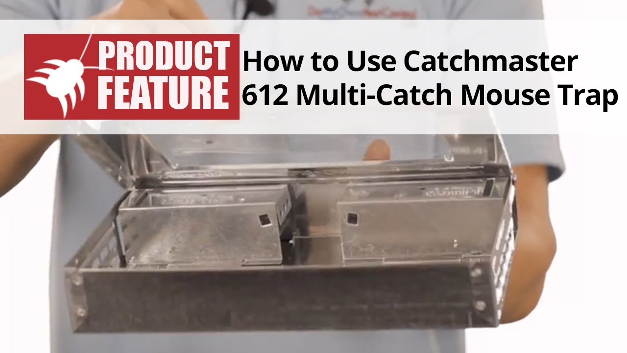 How to Use the Catchmaster 612 Multi-Catch Mouse Trap