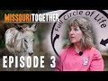 Missouri Together - Horse Rescue Heroes S4E3