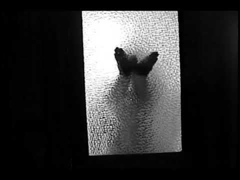 sa!koro - como mariposas (video oficial)