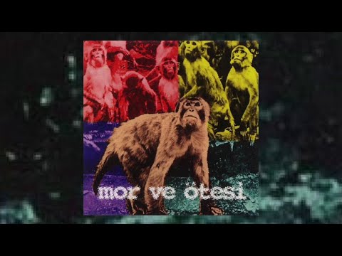 Video thumbnail for Pis