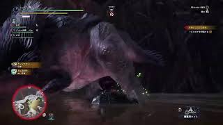 女の子2人旅MHW