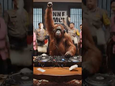 dj duit duit now #djdance #music #djremix #djviral #koruptor