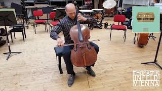Versum Solo Cello A & D String Set