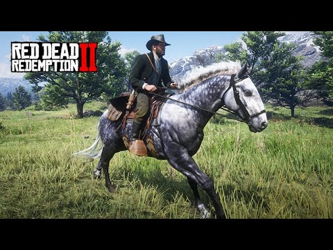 COMO CONSEGUIR ESSE LINDO MESTIÇO HUNGARO - O DOMADOR DE CAVALOS - Red Dead Redemption 2