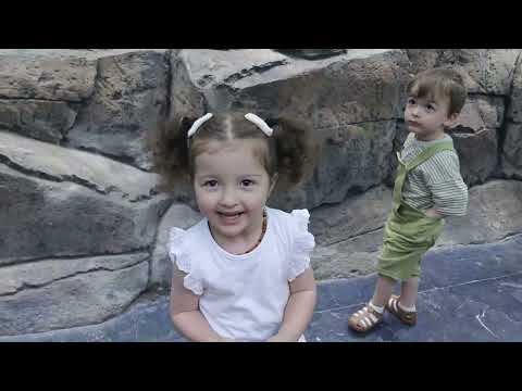 Deniz ve Akçın Akvaryumda 1