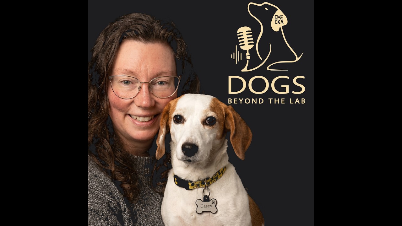 The One That Didn’t Get Away: Christy & Casey’s Former Research Beagle Story