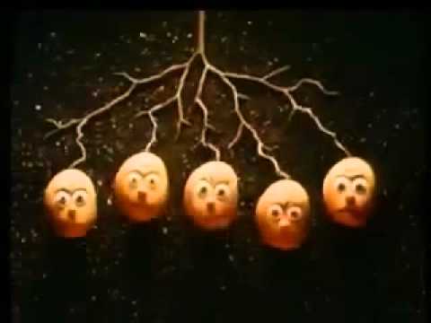 Smith's Crisps - Classic UK TV Advert (1984)