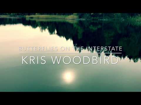 butterflies on the interstate -single from Kris Woodbird