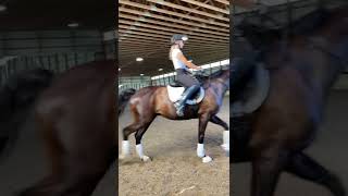 Fable Albert clinic august 2022