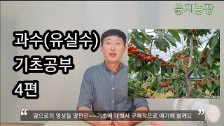 유실수(과수) 기초공부  4편~토양관리