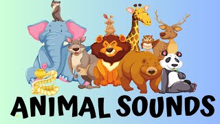 Learn Animals for Toddlers - Animal Sounds |Animal Sounds for Children