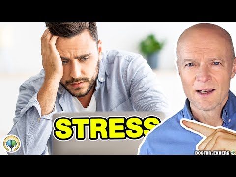 Stress Is The Number One Killer