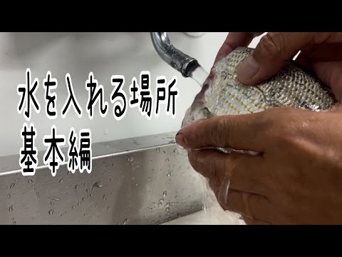 ビッグウォーターについて詳しく解説