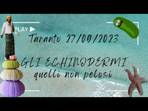 Gli echinodermi: stelle marine, ricci e cetrioli di mare.Taranto, Gata.