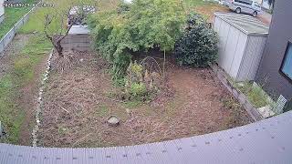 山形県鶴岡市白山興野ライブカメラ live webcam