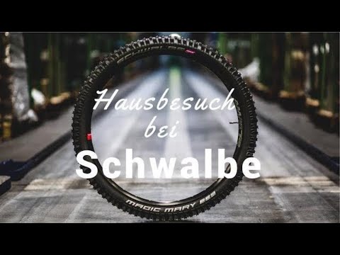 Hausbesuch Schwalbe (1/5) - Firmenporträt