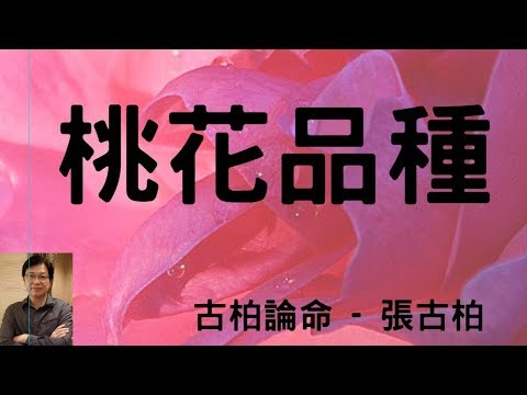 八字桃花表