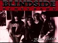 Blindside Blues Band - Catchin' Z's