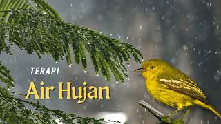 Download lagu TERAPI AIR HUJAN SIRTU BAHAN | Sirtu Mania mp3