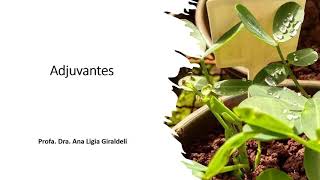 Adjuvantes na Agricultura