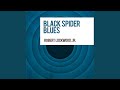 Black Spider Blues