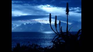 Blu Mex Follow Me