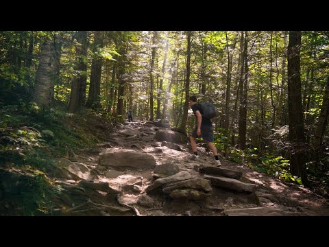 Kaaterskill Falls, NY | Ambient Video & Sound