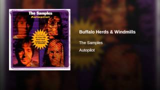 Buffalo Herds & Windmills
